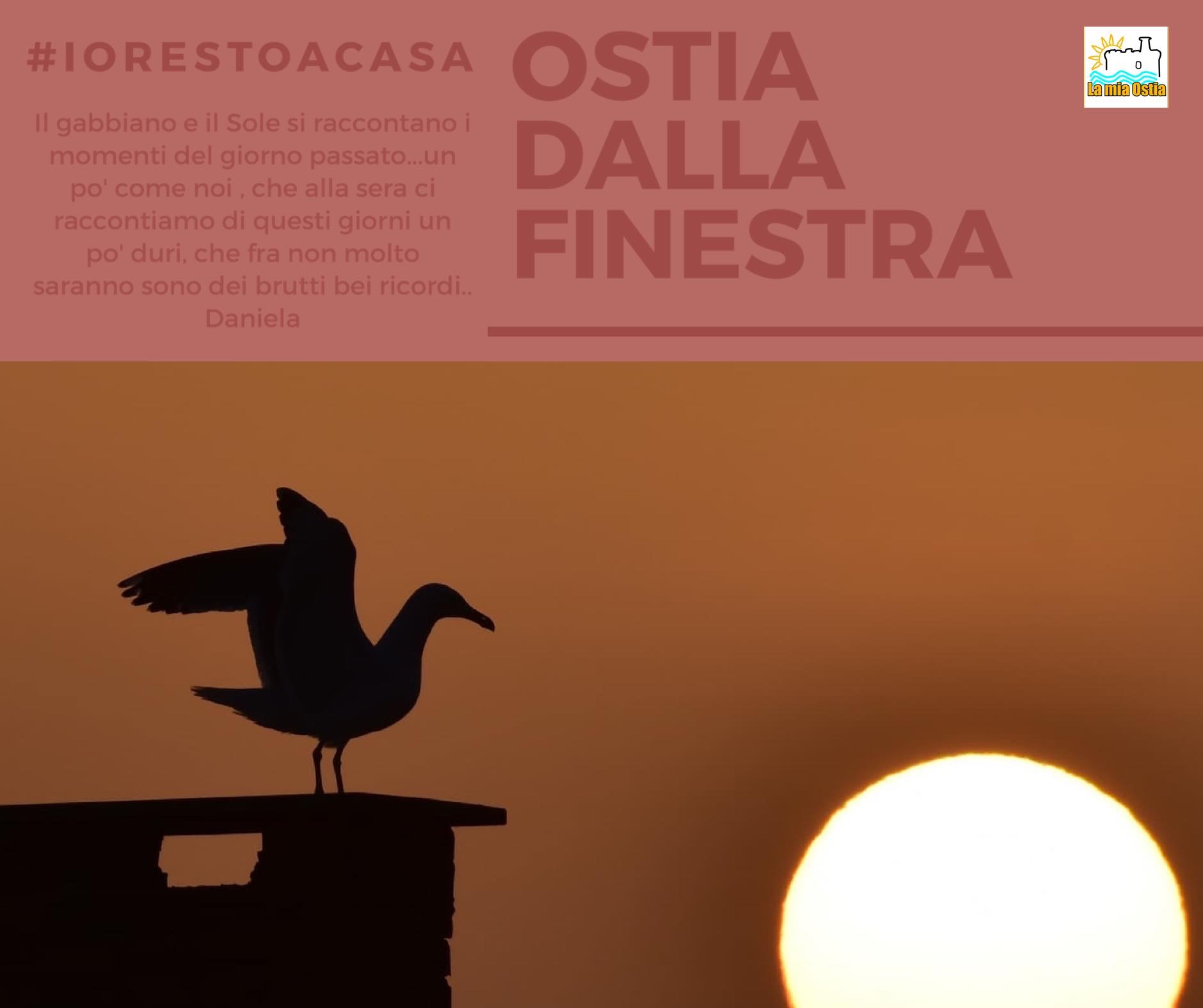 Ostia dalla finestra: mese di marzo